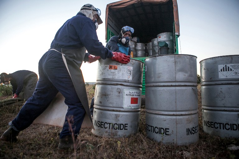 Members of the technical team of the Food and Agriculture Organization of the United Nations (FAO), prepare insecticide for a helicopter equipped for pesticide spreading