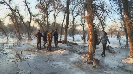 Flood kills 3 herds of horses in south Kazakhstan