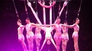 American circus acrobats fall 30 ft during hair-hanging stunt