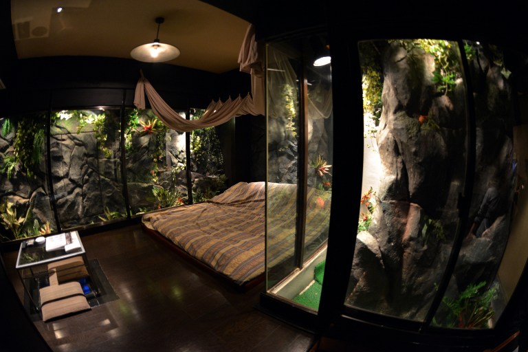 a jungle style room of a love hotel called 