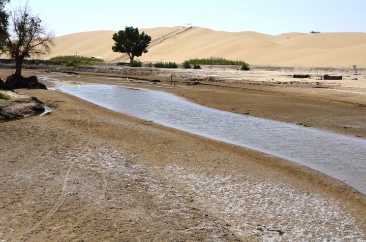 The river called Tarim is unusual. It migrates all the time and shifts the location of Lop Nor lake with it. Now, the lake has gone shallow due to various factors. Photo ©Dzhaliya Dzhaidakpayeva