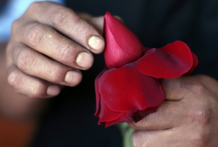 Florist Trinidad Rojas prepares roses for Valentines Day in Los Angeles. ©REUTERS/Lucy Nicholson