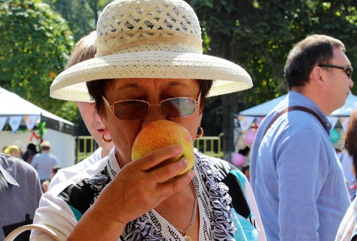 Apple fest in Almaty