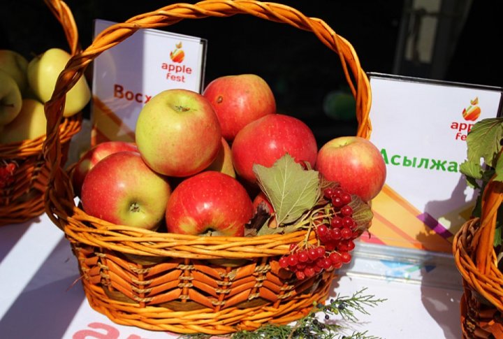 Apple fest in Almaty