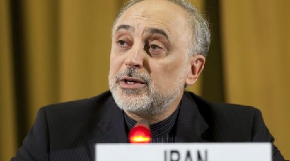 Iranian Foreign Minister Ali Akbar Salehi. ©REUTERS