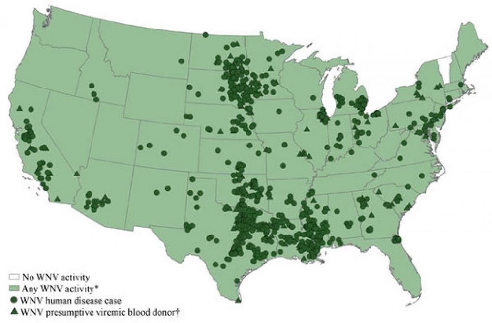 Map of West Nile virus activity in the US. Photo courtesy of examiner.com