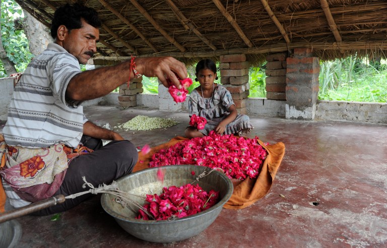 Indian flower farmers sort out petals. ©AFP