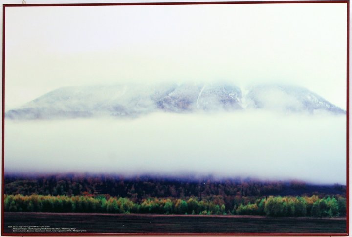 Mist. Katon-Karagay National Park. East Kazakhstan Oblast, in eastern Kazakhstan. 