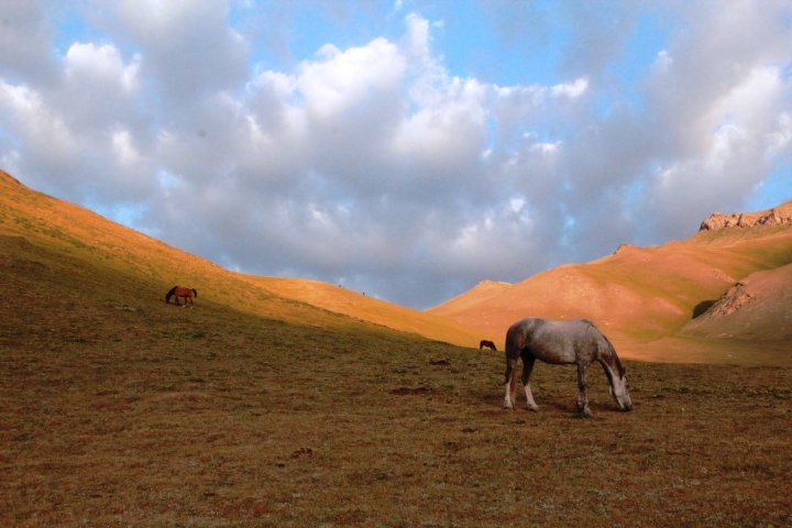 Kyrgyzstan landscape.
©Vladimir Prokopenko