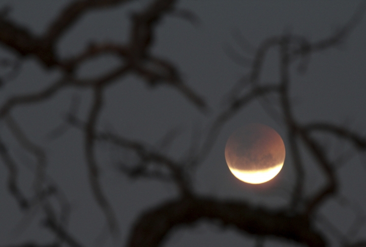 Lunar eclipse in Brazil. ©REUTERS/Ueslei Marcelino