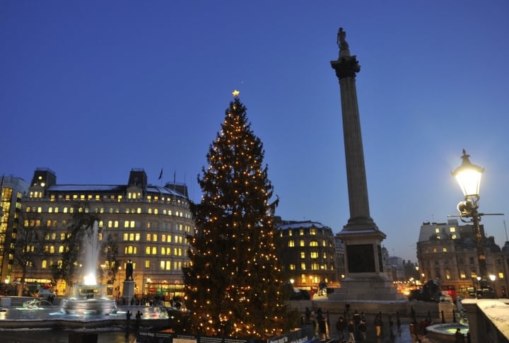 An illuminated Norwegian Christmas tree is seen in Trafalgar Square in London, Great Britain. ©REUTERS\Toby Melville