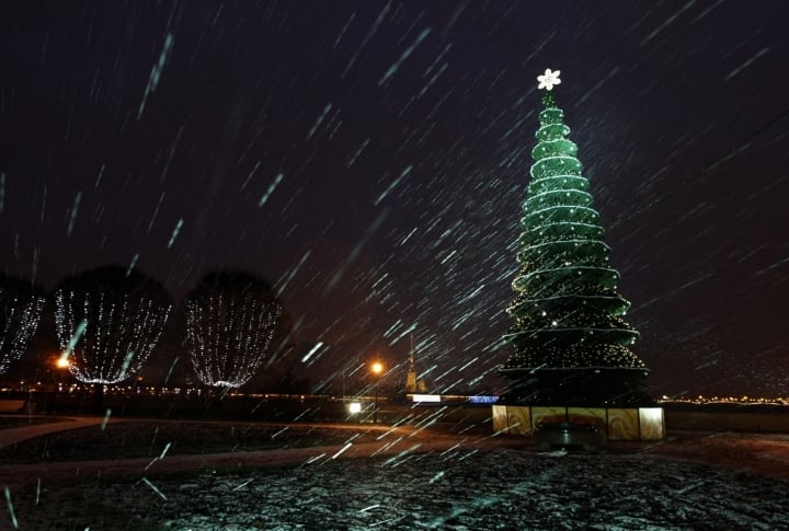 A lit Christmas tree is seen amidst snowfall in St. Petersburg, Russia. ©REUTERS\Alexander Demianchuk