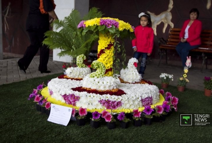 Expositions of the flower contest. ©Tengrinews.kz
