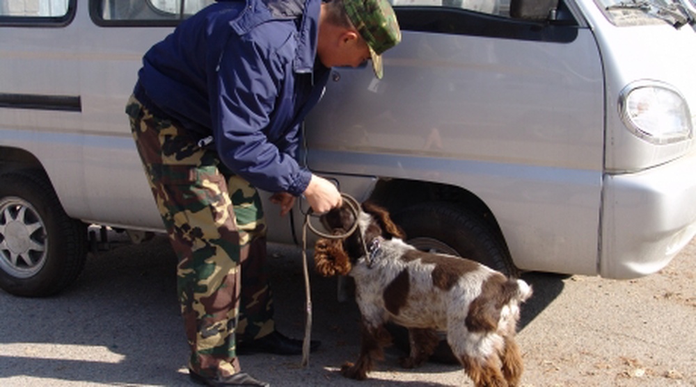 Vehicle check for drugs by a dog. ©tengrinews.kz