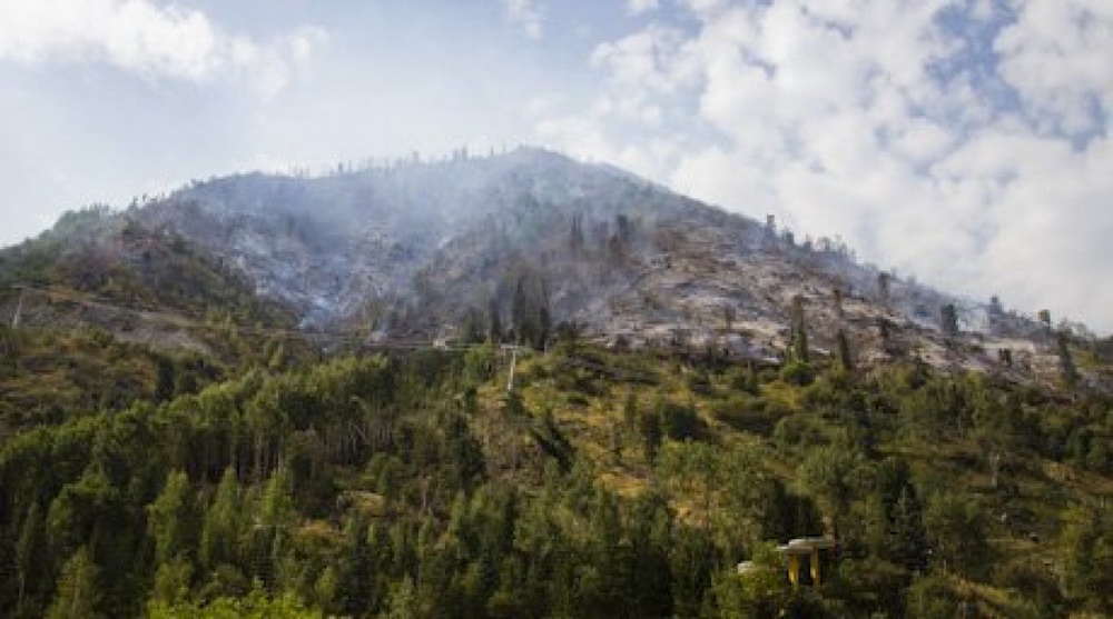 Fire-fighters quenched fire in Ile-Alatau national park 