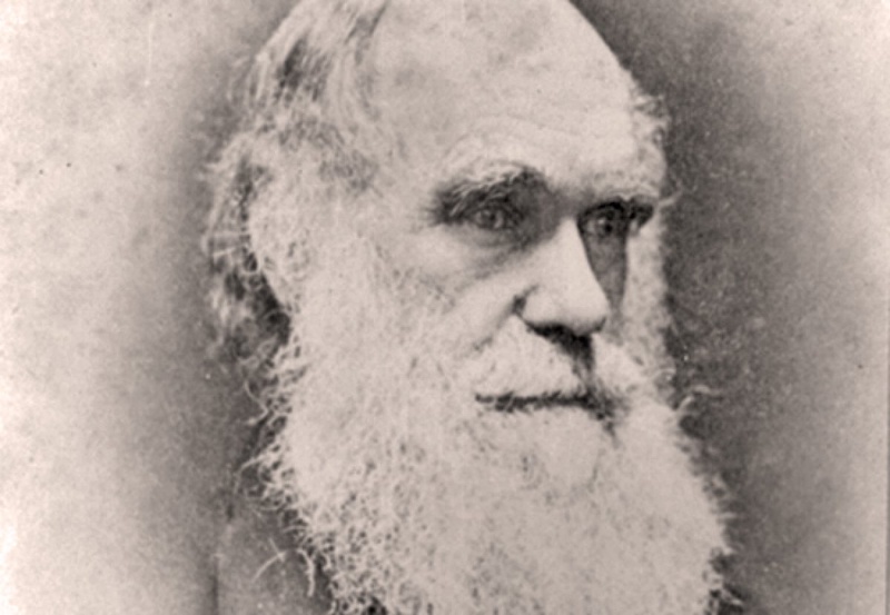 Charles Darwin. Photo courtesy of emersonket.com