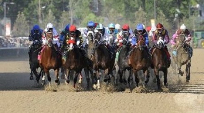 Horse races. Photo courtesy of kaskarau.kz