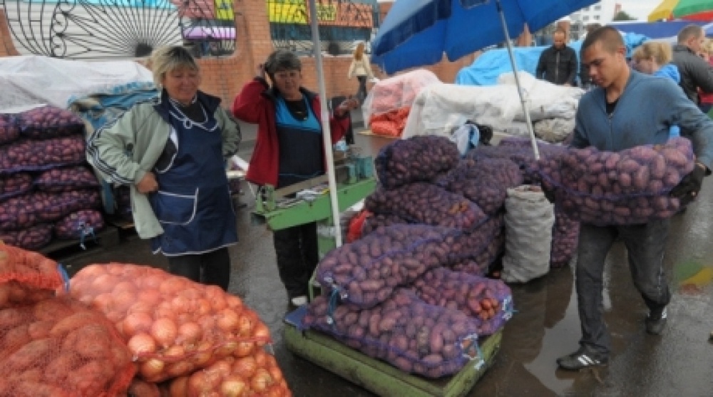 Agricultural products on sale at seasonal market. ©RIA NOvosti