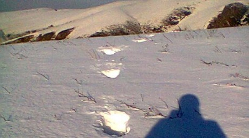 Yeti footprints. ©kuzbass85.ru