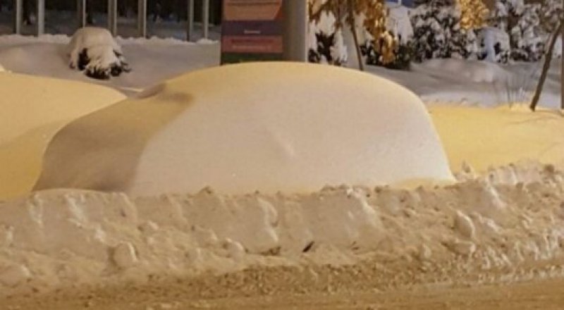 A car buried under the snow
© Tengrinews.kz