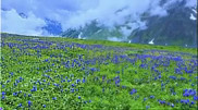 East Kazakhstan shines in viral video: ‘Not Switzerland, but just as stunning’