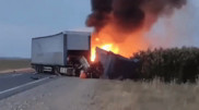 SUV causes fatal accident: 7 dead in Zhambyl Region