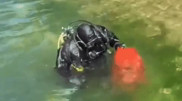 Over 30 bags of trash removed from Kolsai lake