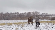 Kazakhstanis share video of moose attacking hunter
