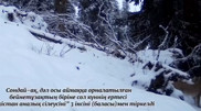 Camera trap captured rare predators with cubs on video in Kolsay
