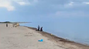 “Swimming season“ in Southern Kazakhstan: Residents celebrate “winter summer”