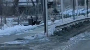 Roe deer spotted running through Almaty streets