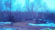 Funny badger was caught on camera trap in Charyn National Park