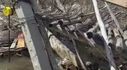Bridge crossing turns tragic: Two dead, one missing