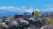 Photographer captures magical scenes of spring in Almaty