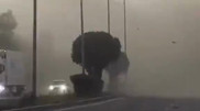 Fallen trees and downed power lines: Aftermath of Almaty’s short storm