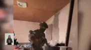Interior ministry conducts special operation in Almaty region