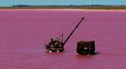 Kazakh videographer captures hidden pink lake in Pavlodar Region