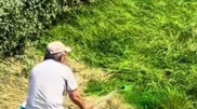 Almaty workers spray green dye on grass to improve appearance