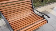 ‘Selfish bench’ in Astana sparks laughter online