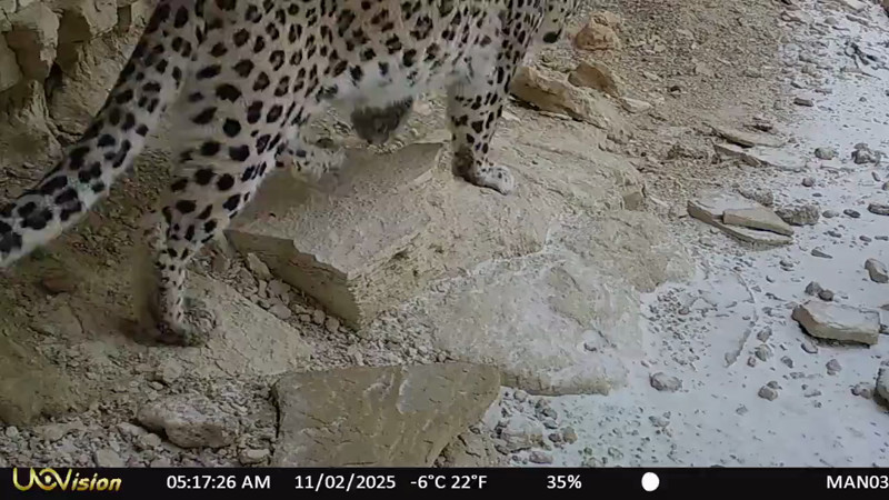 Video provided by Kyzylsai Nature Park