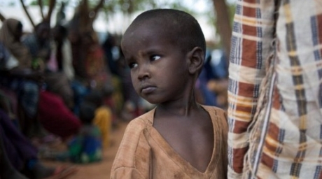 A young Somali boy waits at the reception centre in Ifo refugee camp. ©AFP  Internally displaced Somali men perform prayers over the dead body of a man who died of starvation. ©AFP